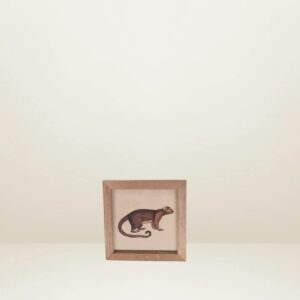 Cuadro mini animal