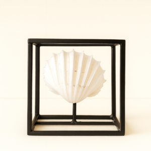 Concha en stand de hierro