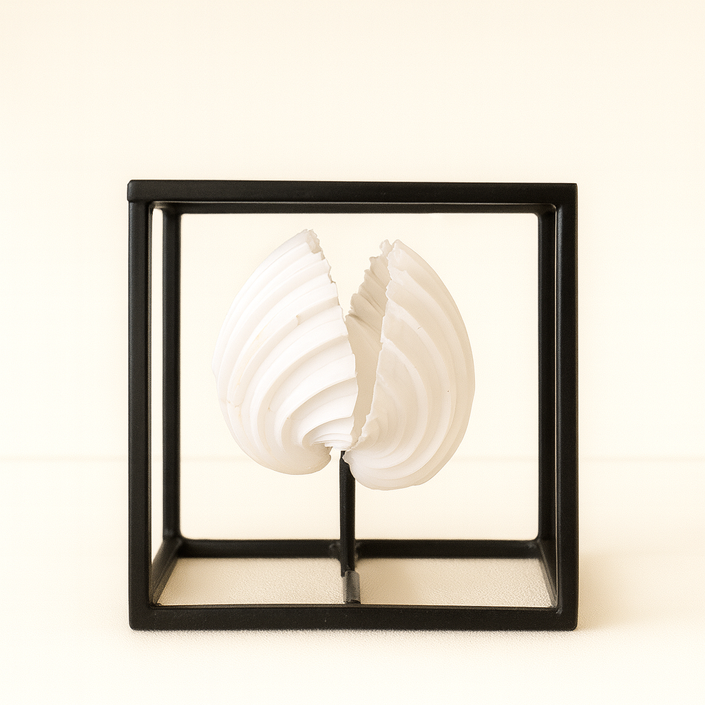 Concha en stand de hierro - Imagen 2