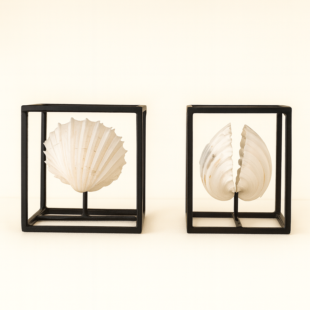 Concha en stand de hierro - Imagen 3