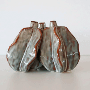 Florero varios frutos